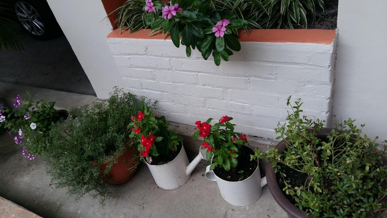 Hotel Casa Marina La Ceiba Bagian luar foto